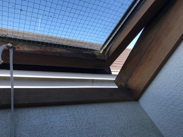 屋根が破損